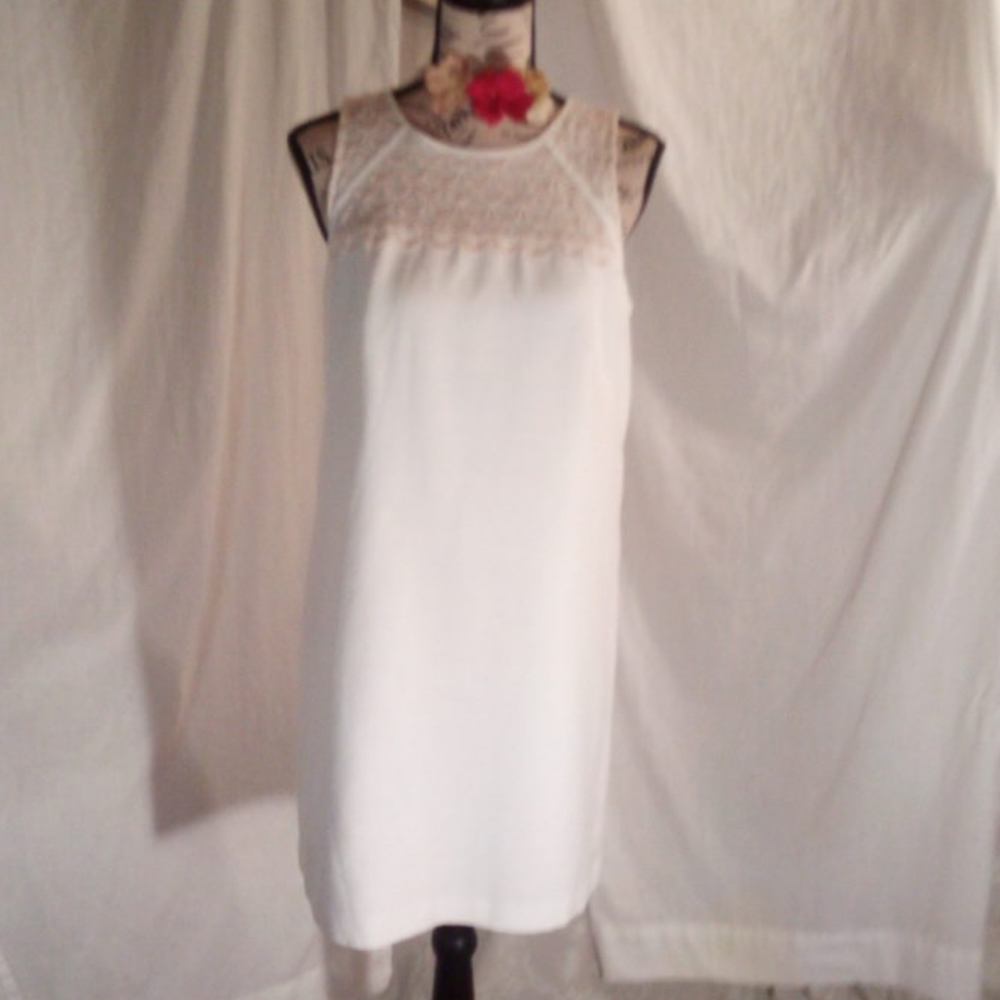 Nwot! Ann Taylor loft sheath dress 8